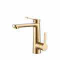 Gold Pull-Down Kitchen Faucet